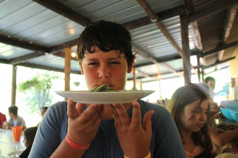 Village Camps International Summer Camp Ard&egrave;che, France 2019-07-26 https://www.villagecamps.com/journals_admin/images/924-22-16-07-2014 (800x533) (74).jpg